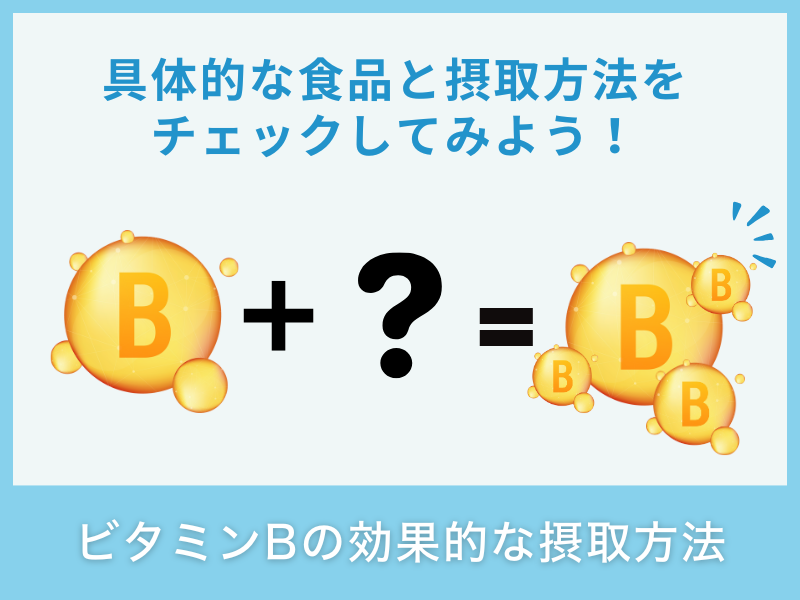 ビタミンBの効率的な摂取方法