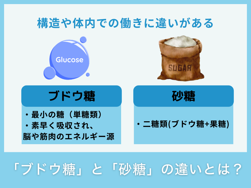 「ブドウ糖」と「砂糖」の違いとは？