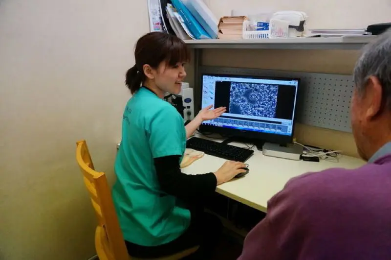 木村歯科診療所