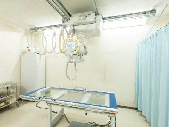 こごた整形外科クリニック