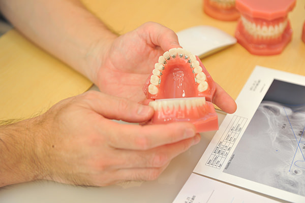 きたがわ矯正歯科photo