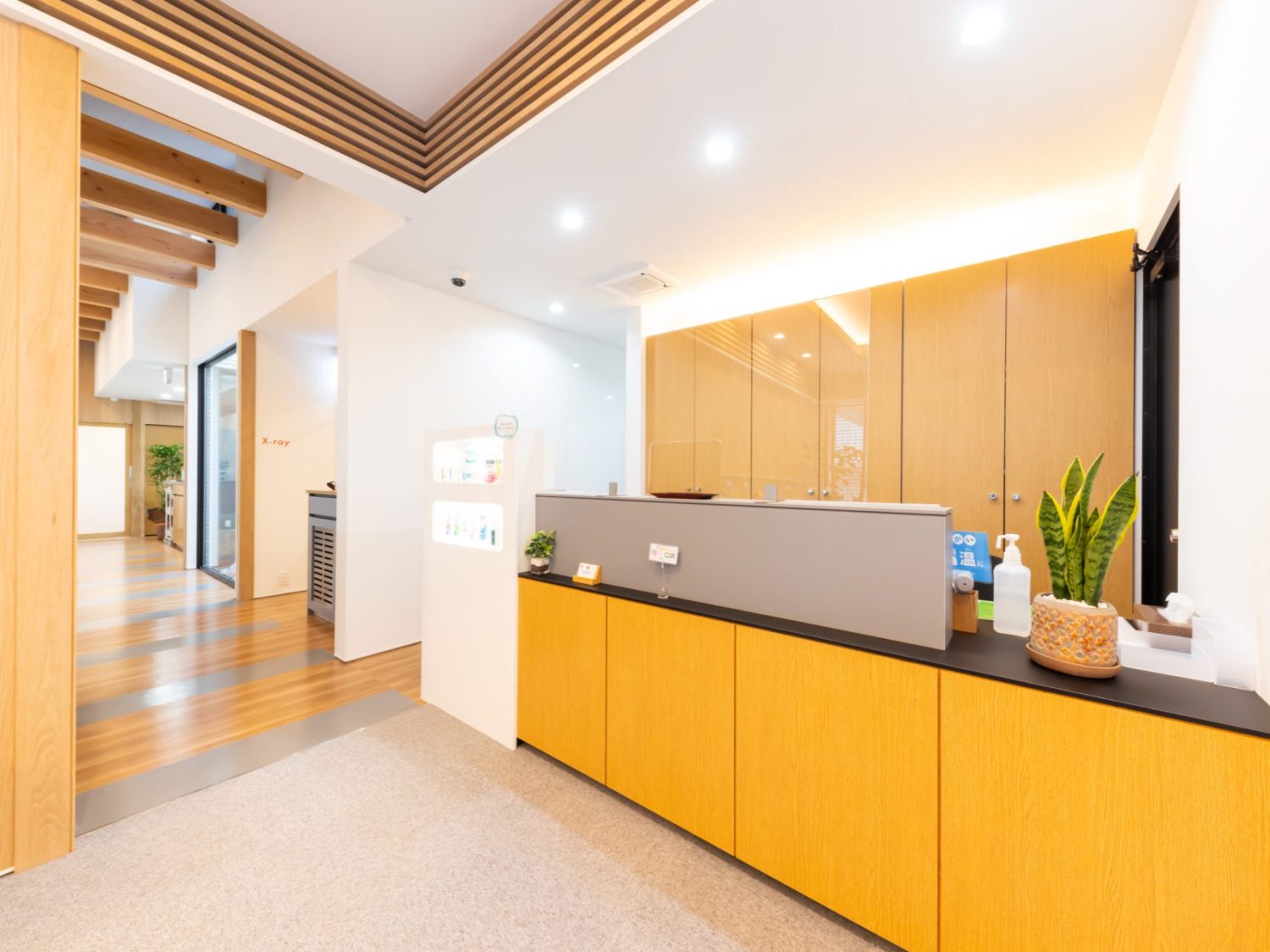 みさか歯科・おやこ歯科