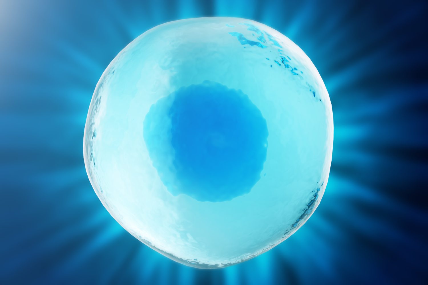 未授精卵子の「融解」でダメージは起きるのか？