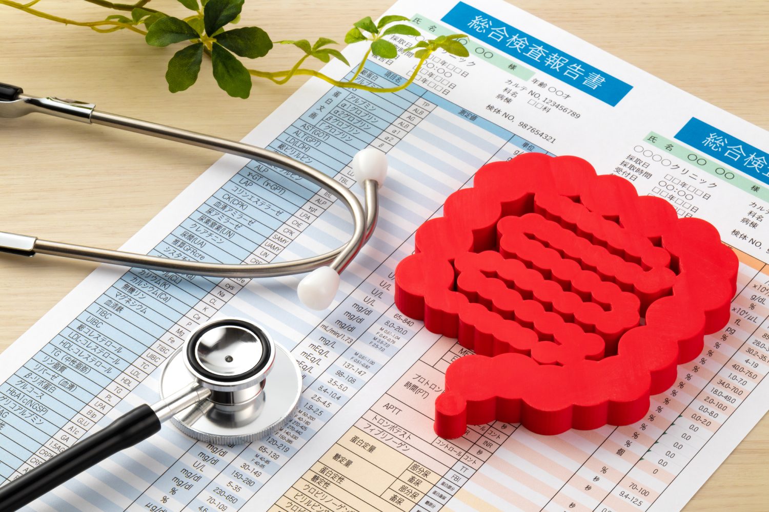 便潜血検査が陽性のとき、大腸がん以外に考えられる病気