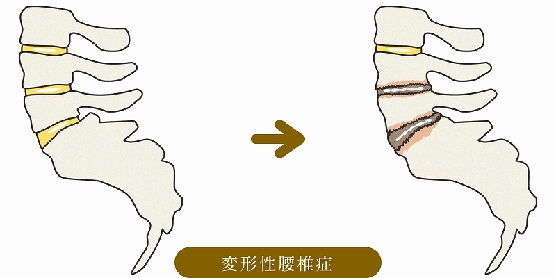 表参道総合医療クリニックphoto