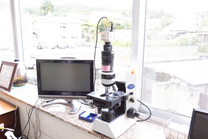 堤洋之歯科医院photo