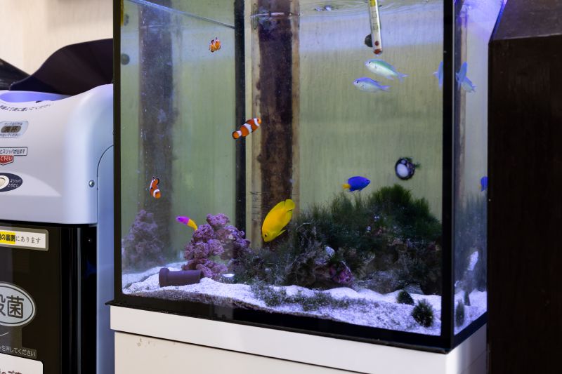 堤洋之歯科医院photo