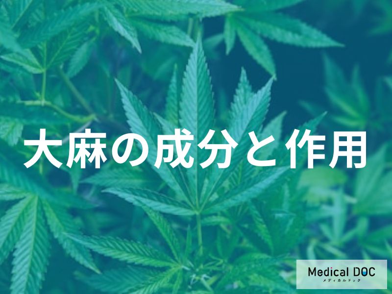 「大麻」が脳をハッキングする仕組みをご存知ですか? 身体で起きる危険な変化