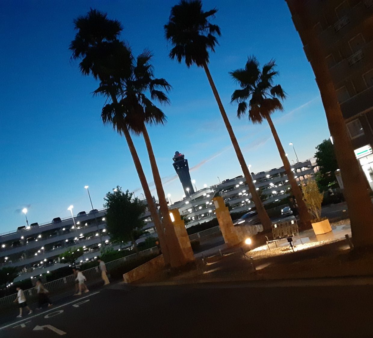 【闘病】まさか「便秘」と言われた“お腹の張り”が『卵巣がん』だったとは…