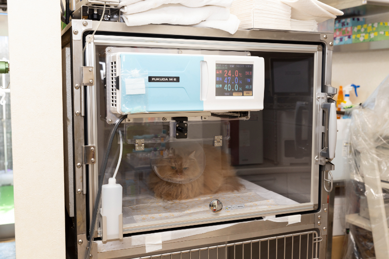 おおした動物病院photo