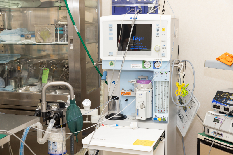 おおした動物病院photo