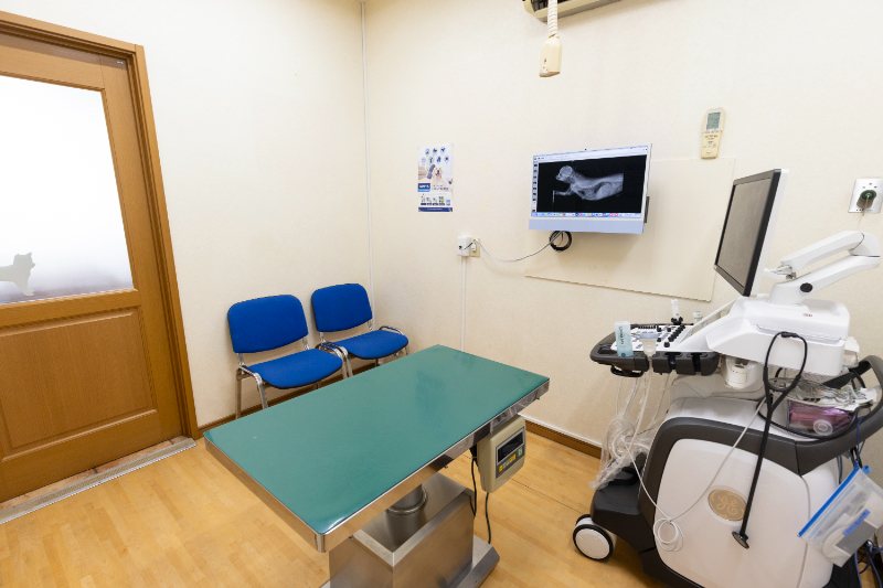 おおした動物病院photo