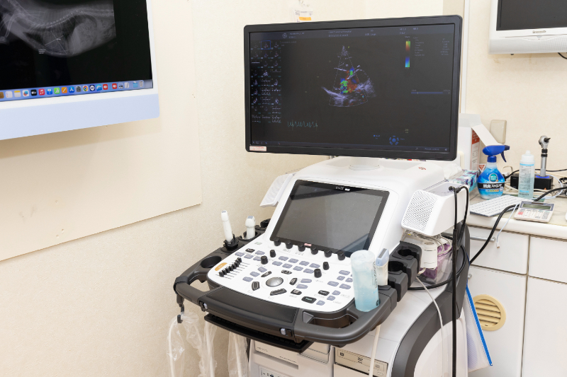 おおした動物病院photo