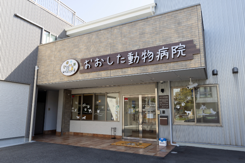 おおした動物病院photo