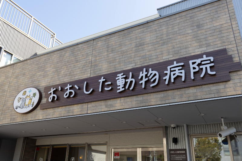 おおした動物病院photo