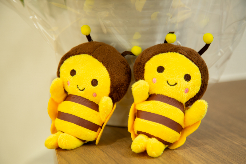 うすい耳鼻いんこう科クリニックphoto