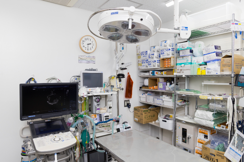 大塚駅前どうぶつ病院 心臓メディカルクリニックphoto