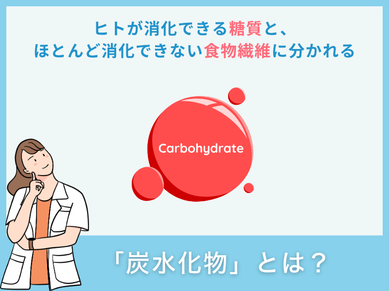 「炭水化物」とは？