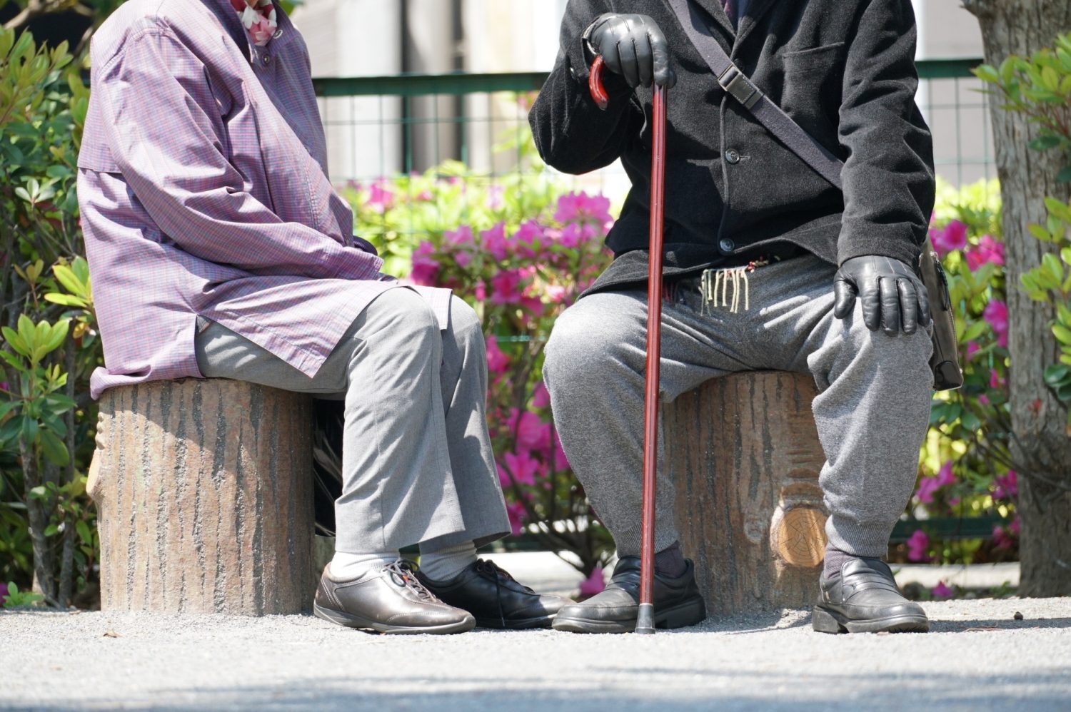 晴れた日に公園で散歩を楽しむ老夫婦イメージ