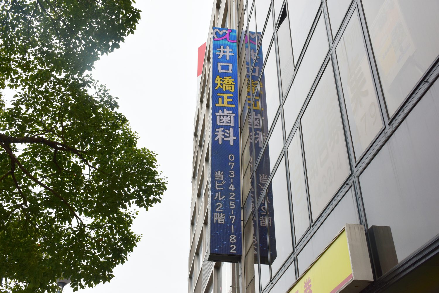 井口矯正歯科photo