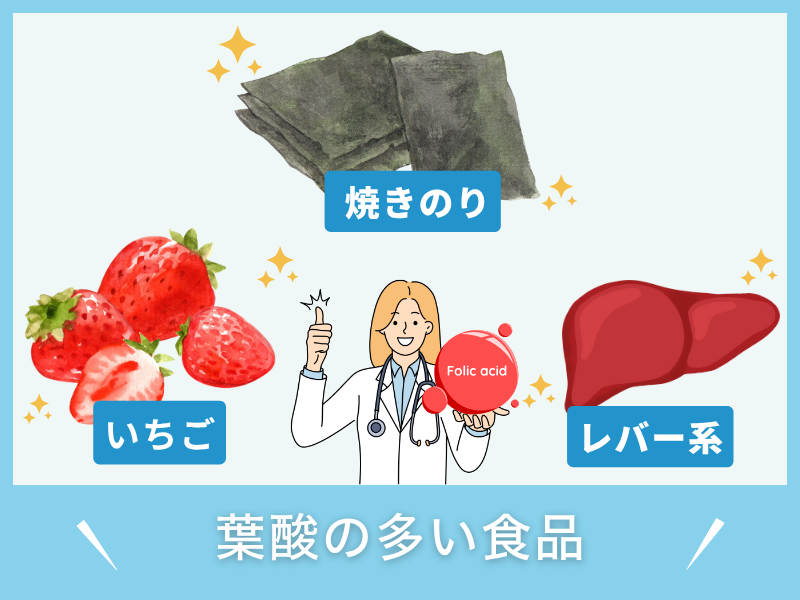 葉酸の多い食品