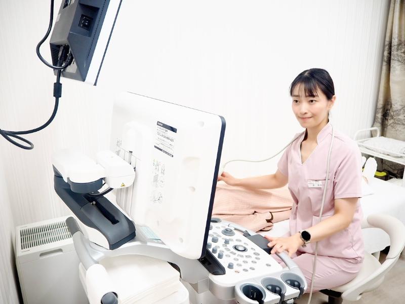 mammaria tsukijiphoto