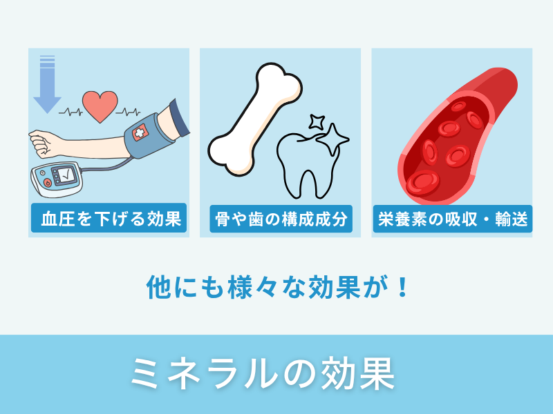 ミネラルの効果