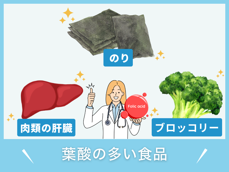 葉酸を多く含む食品