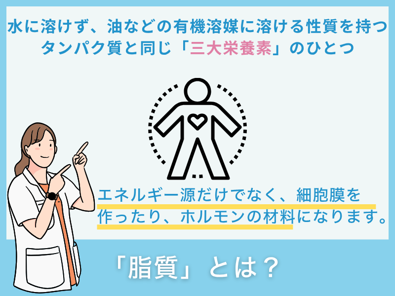 「脂質」とは？