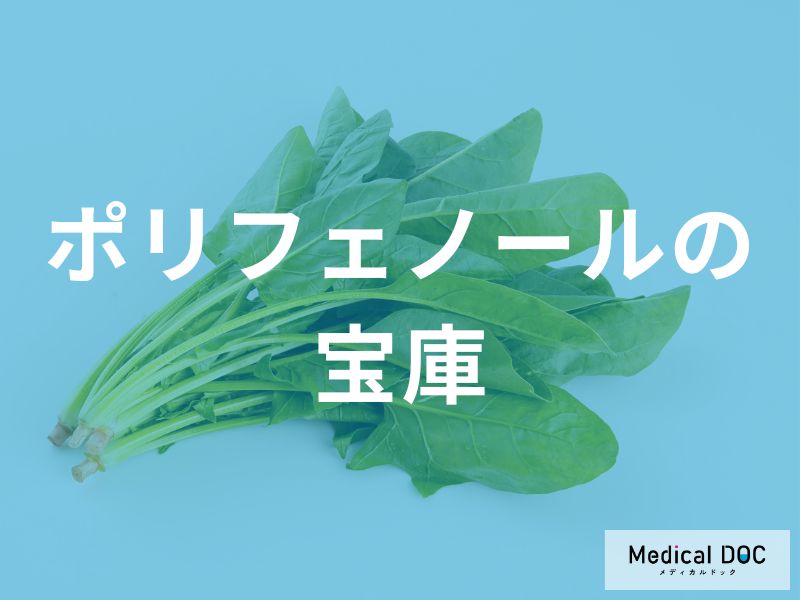 ベリー類や紅茶に含まれる「ポリフェノールの健康効果」とは？管理栄養士が監修！