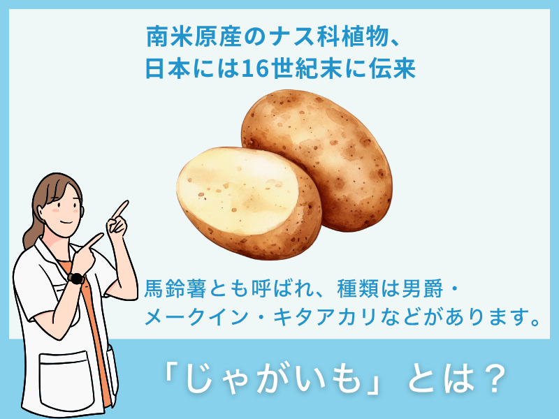 じゃがいもとは？