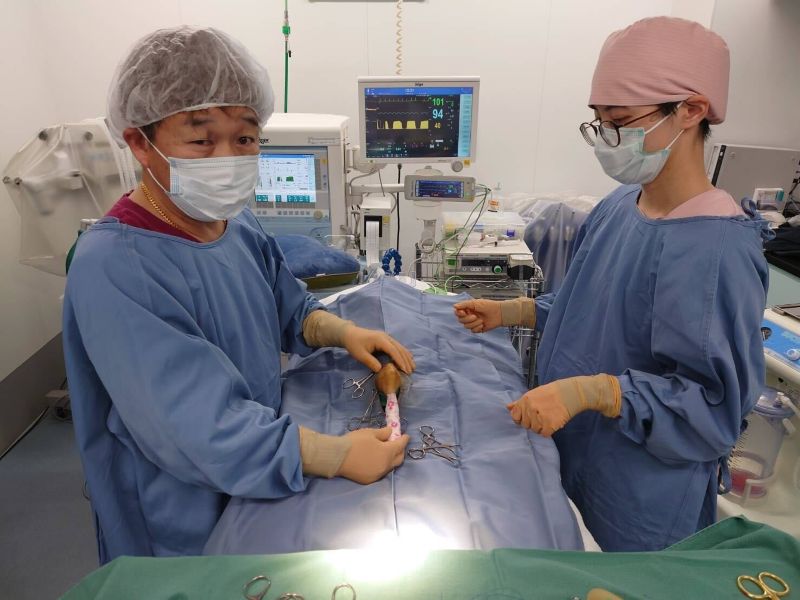 ひまわり動物病院 東寝屋川医療センターphoto