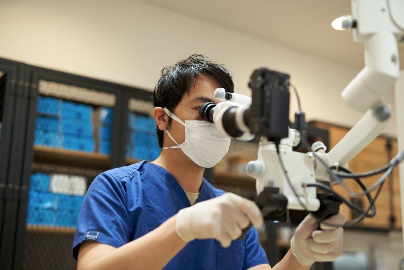 草加いすず歯科クリニック