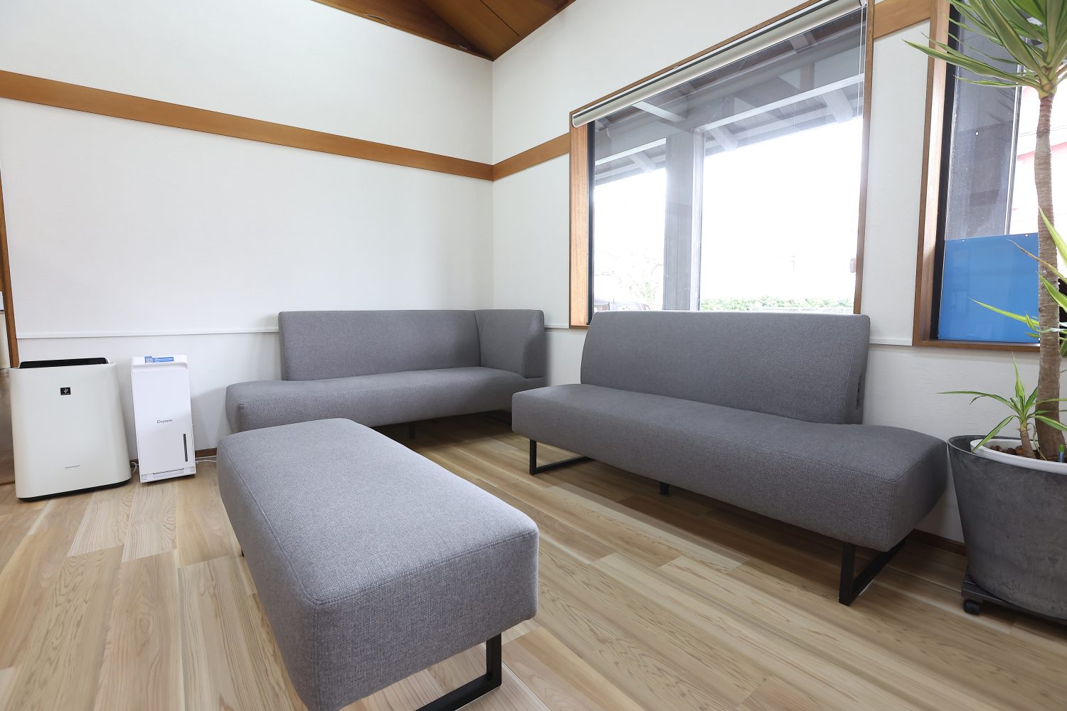 青おとなこども歯科クリニックphoto