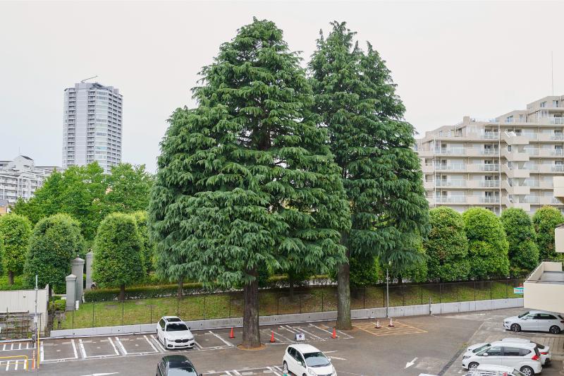 長津田健診・透析クリニックphoto