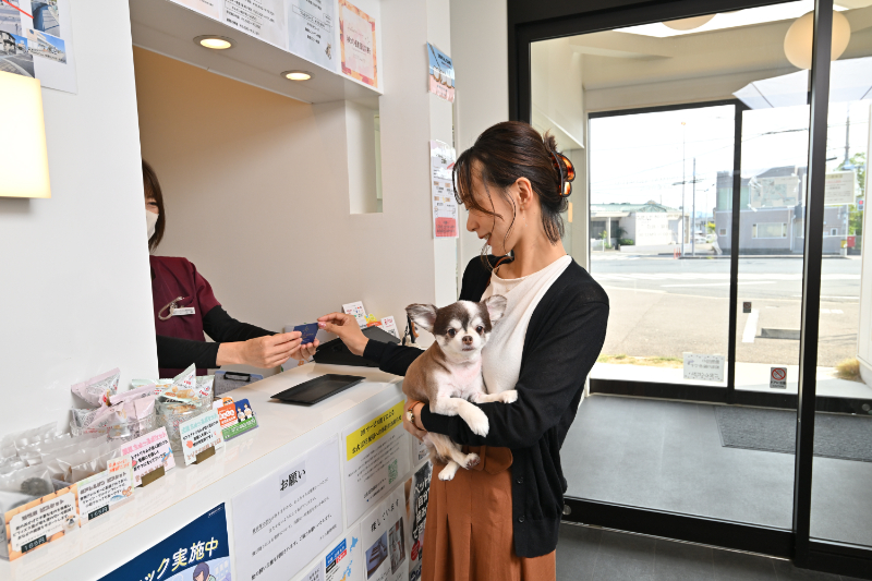 クロス動物病院photo
