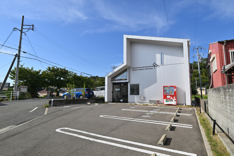 クロス動物病院photo