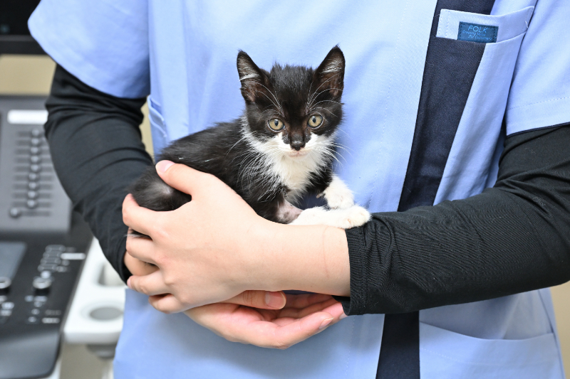 鴨川動物病院photo