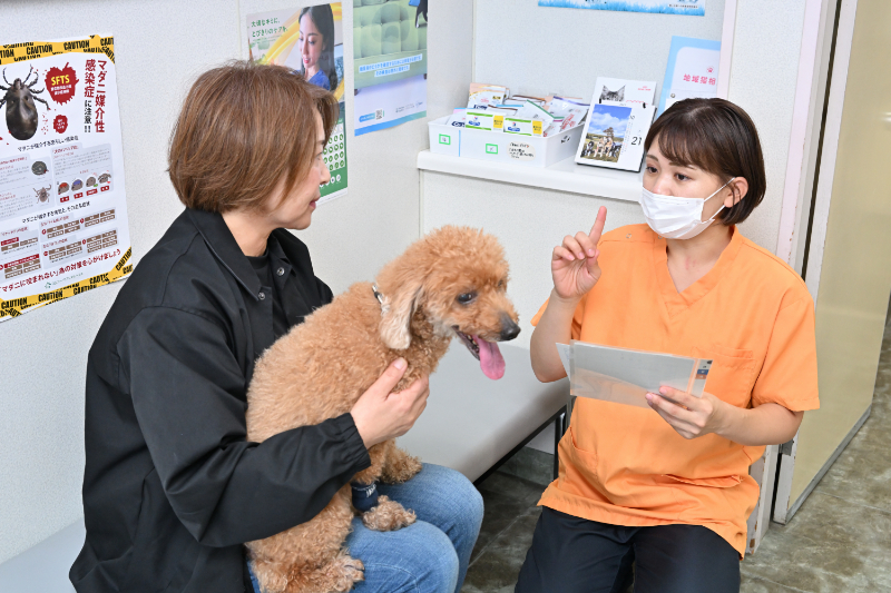 鴨川動物病院photo