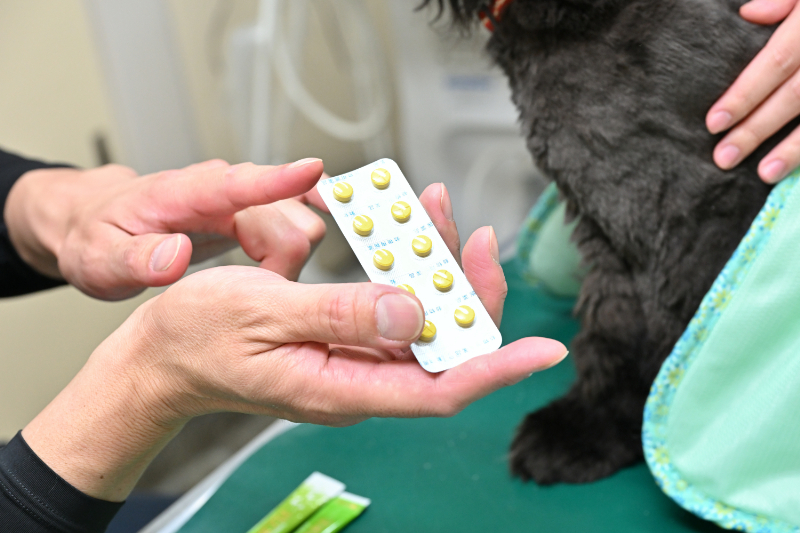 鴨川動物病院photo
