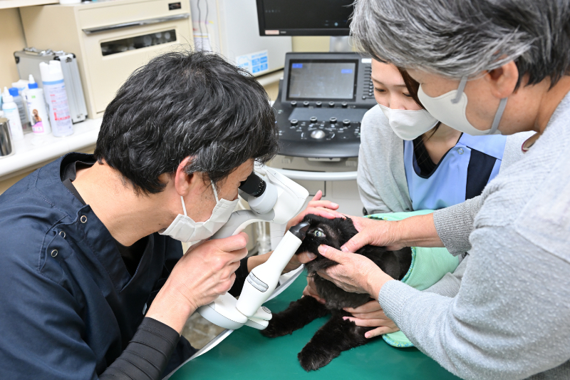 鴨川動物病院photo