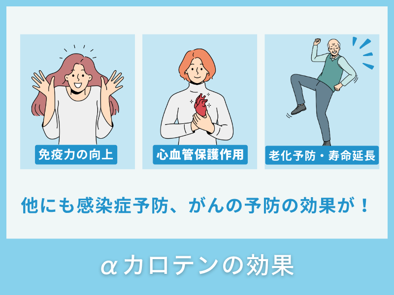 αカロテンの効果