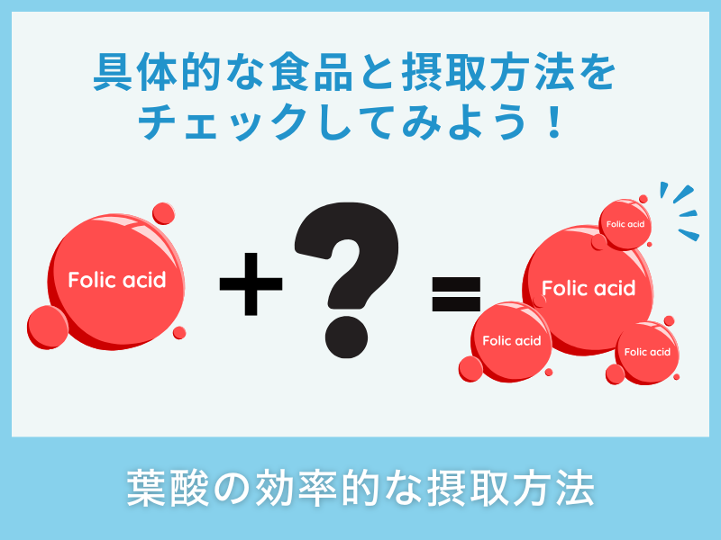 葉酸の効果的な摂取方法