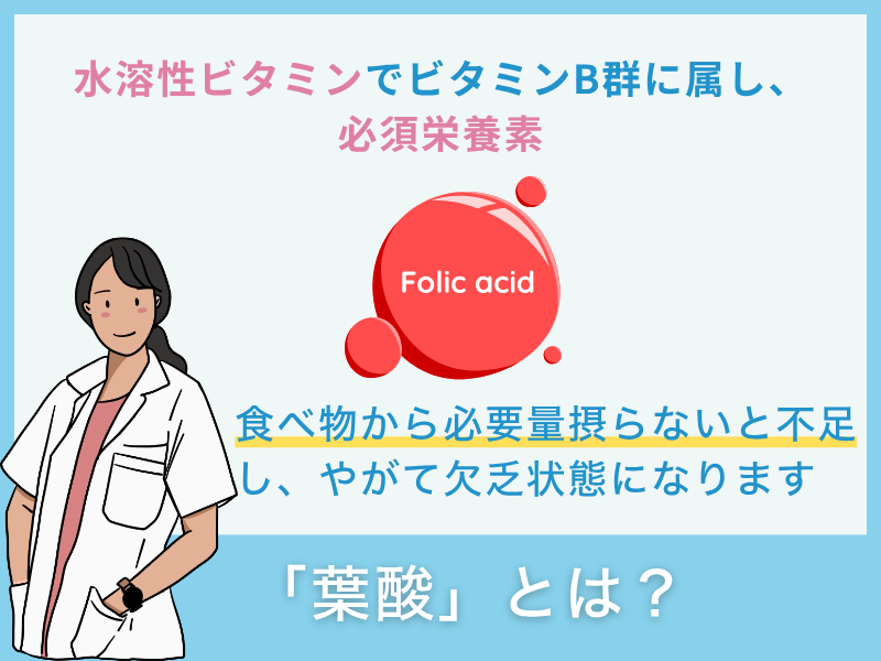 「葉酸」とは?