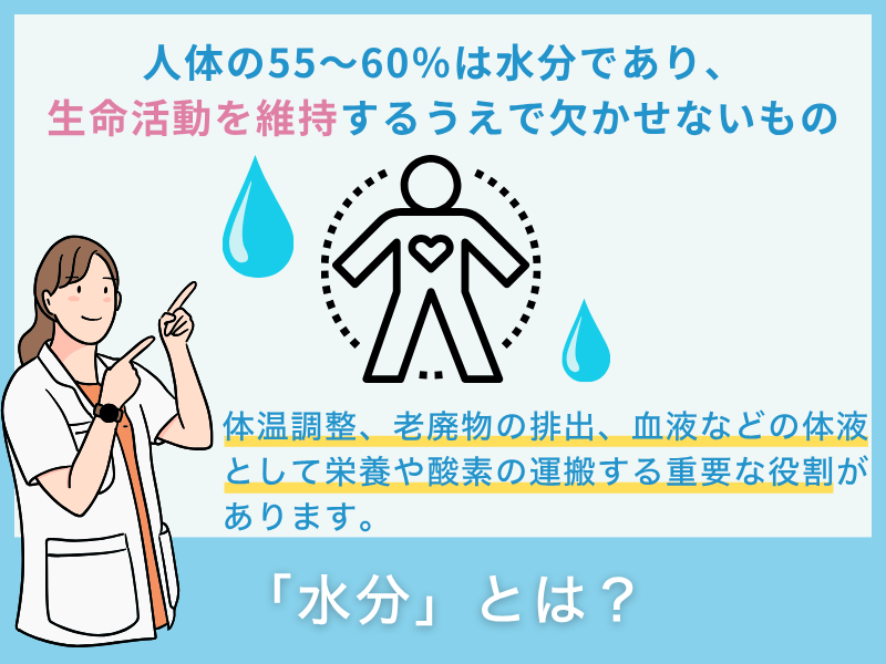 「水分」とは？