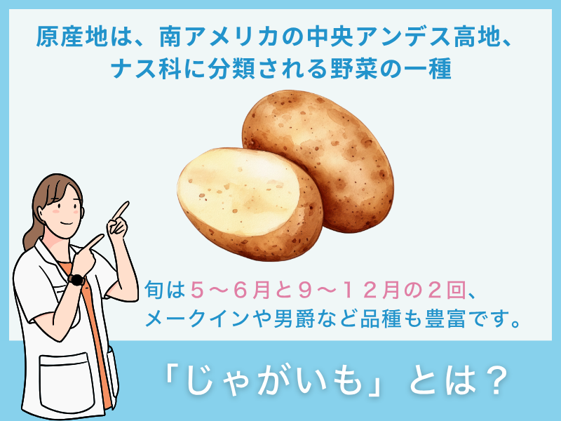 「ビフィズス菌」とは?