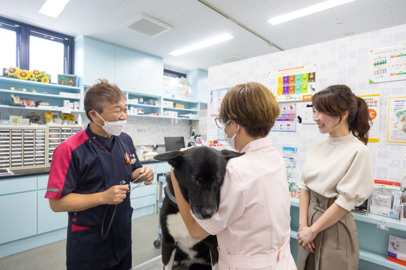 ひまわり動物病院 東寝屋川医療センターphoto