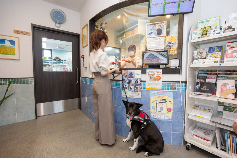 ひまわり動物病院 東寝屋川医療センターphoto