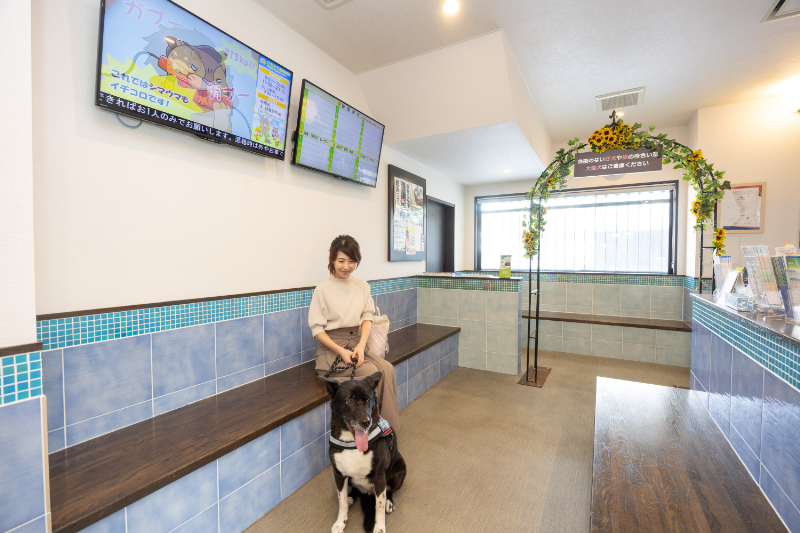 ひまわり動物病院 東寝屋川医療センターphoto