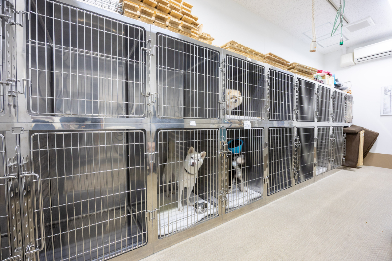 ひまわり動物病院 東寝屋川医療センターphoto